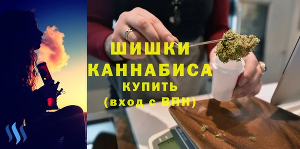 мяу мяу мука Иннополис