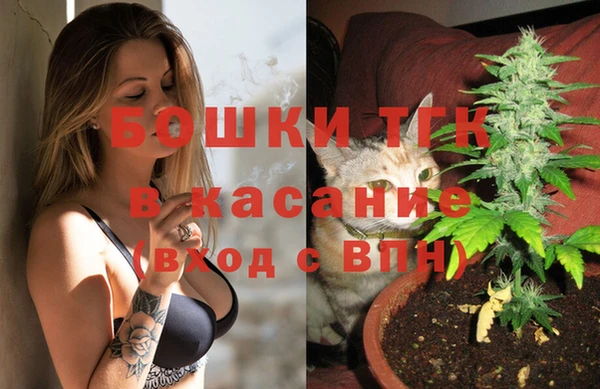 молекула духа Инта