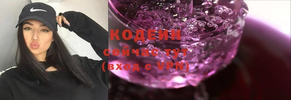 мяу мяу мука Иннополис