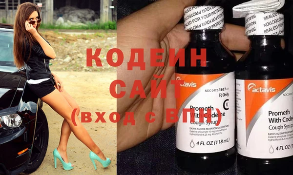 мяу мяу мука Иннополис