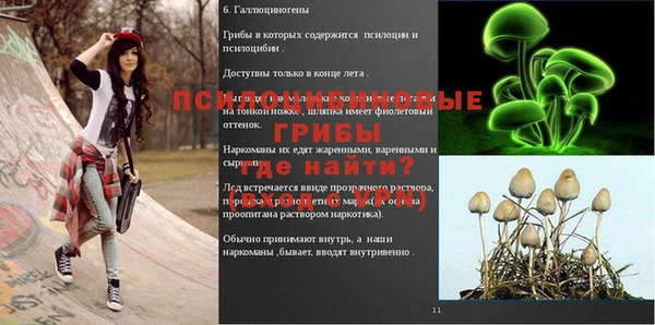 молекула духа Инта