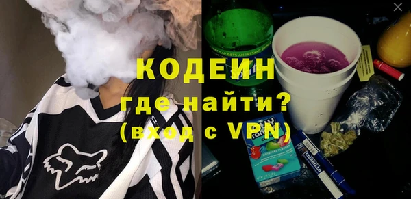 мяу мяу мука Иннополис