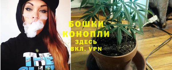 молекула духа Инта