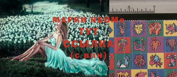 мяу мяу мука Иннополис